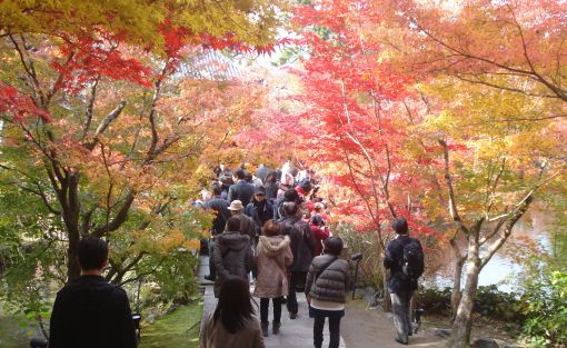 Herbstlaub im Eikando-Tempel in Kyoto mit Besuchern